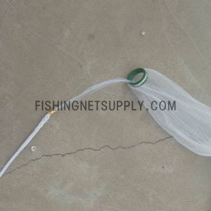 6 پا بازی شبکه